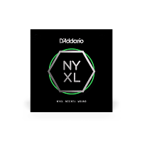 D`ADDARIO NYNW024