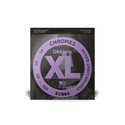 D'ADDARIO ECB84